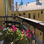 Apartament With High Ceilings, Beautiful Light Oslo